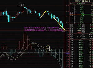 macd指标创了新高但是股价没有创新高是什么情况