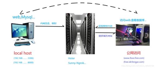 免费ngrok内网穿透服务器termux内网穿透 ngrok