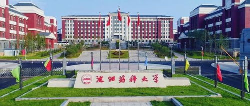 沈阳药科大学学费情况(沈阳药科大学2021年录取分数线是多少)