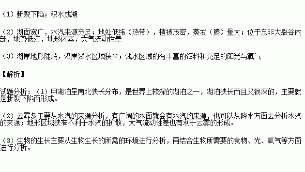 水边的文字屋梗概范文  崖和涯正确读音？