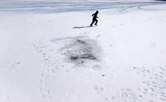 残雪 中关村在线摄影论坛 