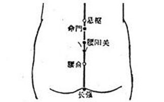 腰俞穴位的准确位置图