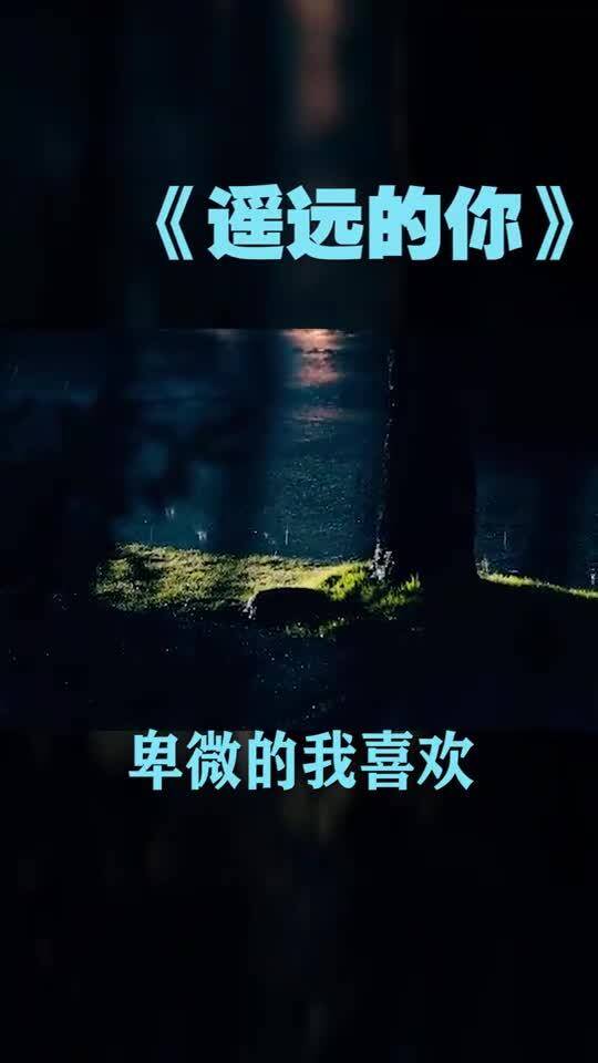 清新的歌曲,你一定要听 