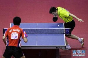 亚洲杯乒乓球锦标赛, 亚洲杯乒乓球锦标赛点燃激情，角逐巅峰