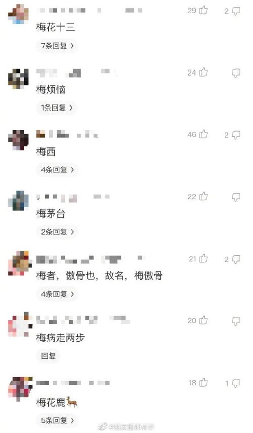 千万 不要让网友取名,否则 会变得不幸哈哈哈