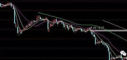 散户割肉最大的心理亏损度是多少