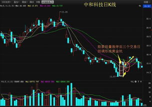 中核科技2oo8年股票价格