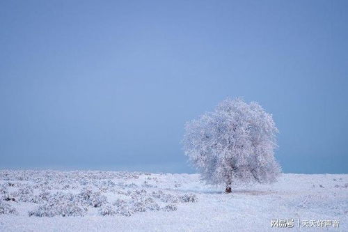 火星入庙白羊座,白羊座拒绝沉寂,重获新生力量