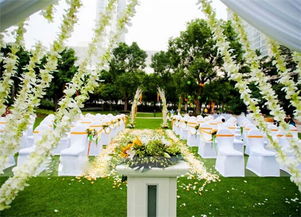 北京草坪婚礼价格,下个月将要在北京举办草坪婚礼，大概需要花费多少钱呢？