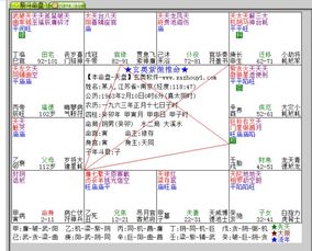 农历1963年正月17日子时生八字怎么样 