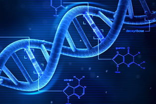 基因测癌 科学家在大数据中酝酿 中国突破 