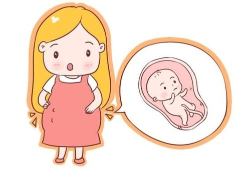 什么时候怀孕生男孩，生男孩的最佳受孕时间,在什么情况下容易生儿子