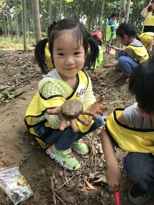 儿子在棉花地里日了我