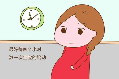 8个月的胎儿长什么样 孕妇注意6点,胎儿更健康,孕妇怀孕更轻松