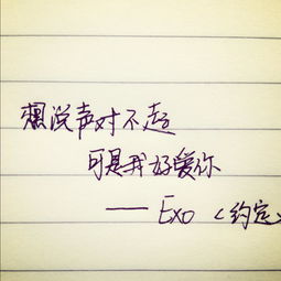 手写歌词 EXO 想说声对不起,可是我好爱你 exo Voooooooooooooi的美拍 