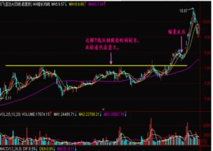 为什么股票价格一直水平线，却有表示增长了百分之十