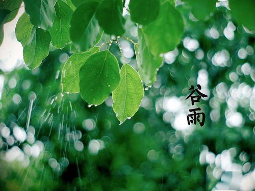 阳历4月打雷有什么预兆