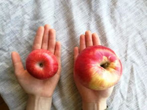 来,跟我念 你是我的小呀小苹果