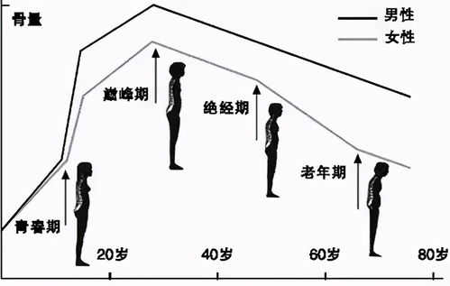 骨质疏松为何偏爱女性 给女性的护骨小建议