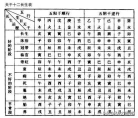 三合十二长生与四大局排布 