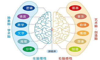 概念时代,企业看重的五种 右脑型 技能