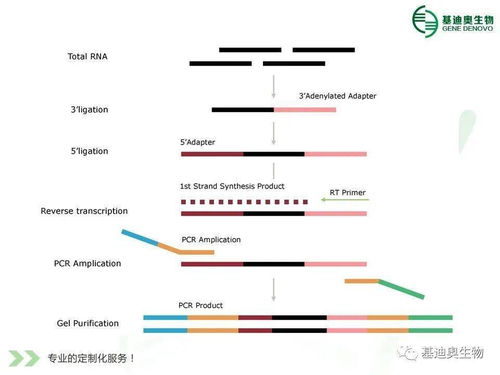 我也想有 测序一次香几篇 的全转录组数据