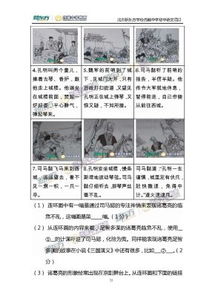 2015北京市中考语文逐题解析 