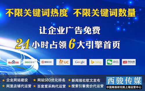 请教有关开盘前已支付的营销咨询顾问费应入什么科目？