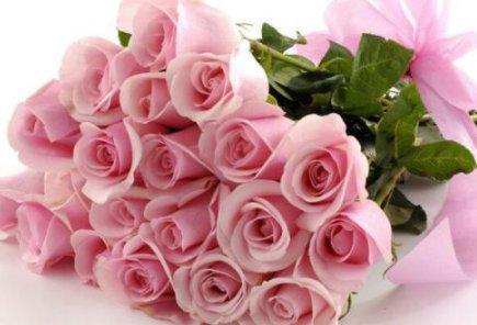 粉红玫瑰的花语是什么,粉红玫瑰花语是什么意思 寓意
