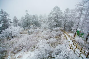 窗含西岭千秋雪门泊东吴万里船