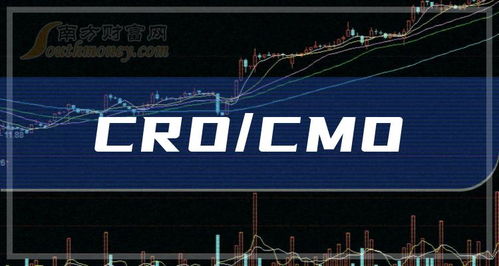 cro公司是什么意思,CRO表示什么-第3张图片