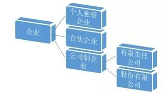 岳阳林纸股份有限公司是什么企业单位
