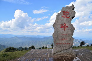 驼梁风景区旅游攻略驼梁旅游攻略