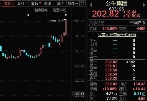 股票账户有深市股票,为何没有深市市值?