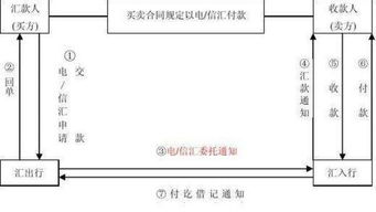 电汇单和支票的区别(什么叫电汇单)