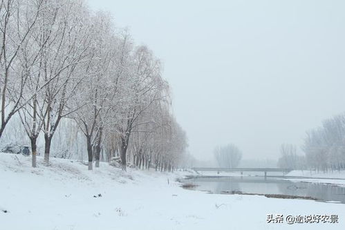 北京美丽的雪景 二