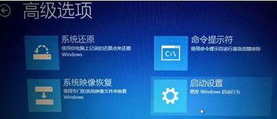 win10系统为什么不能安装flash