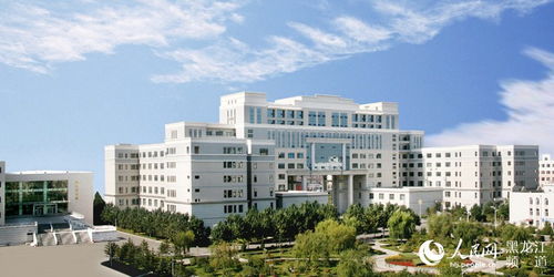 黑龙江工程学院是几本,黑龙江工程学院是一本还是二本