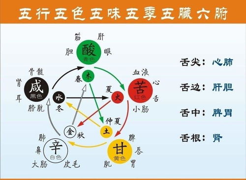 刘先银经典点说 阴阳五行八卦中蕴涵的宇宙奥妙,河图洛书易道太极说研究