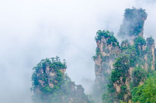 张家界向导介绍去张家界自助游四日游攻略