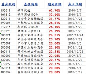 2009年那几只基金回报达到100%的