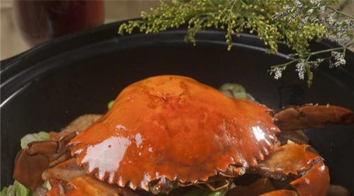 虾蟹煮熟变色后就能吃了吗 大厨 这一步做错了,会影响口感