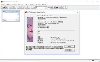 foxpro6.0下载