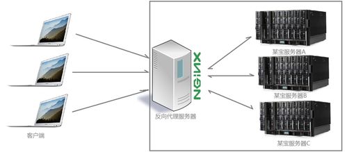 nginx服务器怎样提升权限(nginx虚拟主机访问权限)