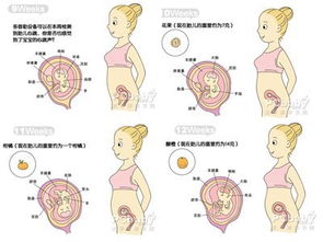 五个月宝宝发育指标(五个月宝宝发育标准)