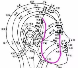 老胃病,湿气 眼袋, 帮你忙 