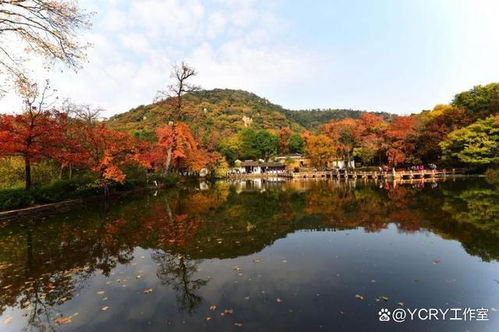 12月浙江自驾游去哪好玩