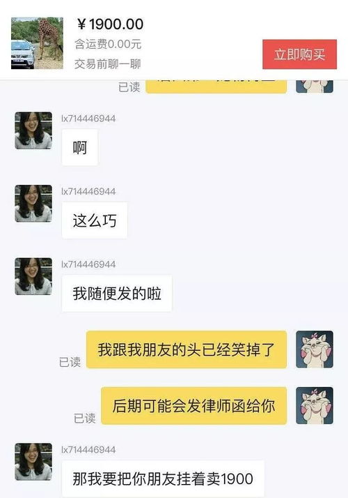 花1900买了条狗,却从来不动 不吃狗粮是怎么回事