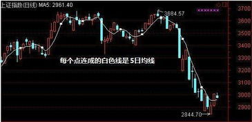 5日均线有什么作用