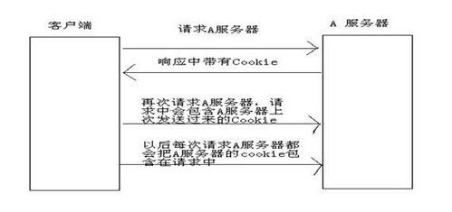 查新查重背后的原理：深入剖析查重机制